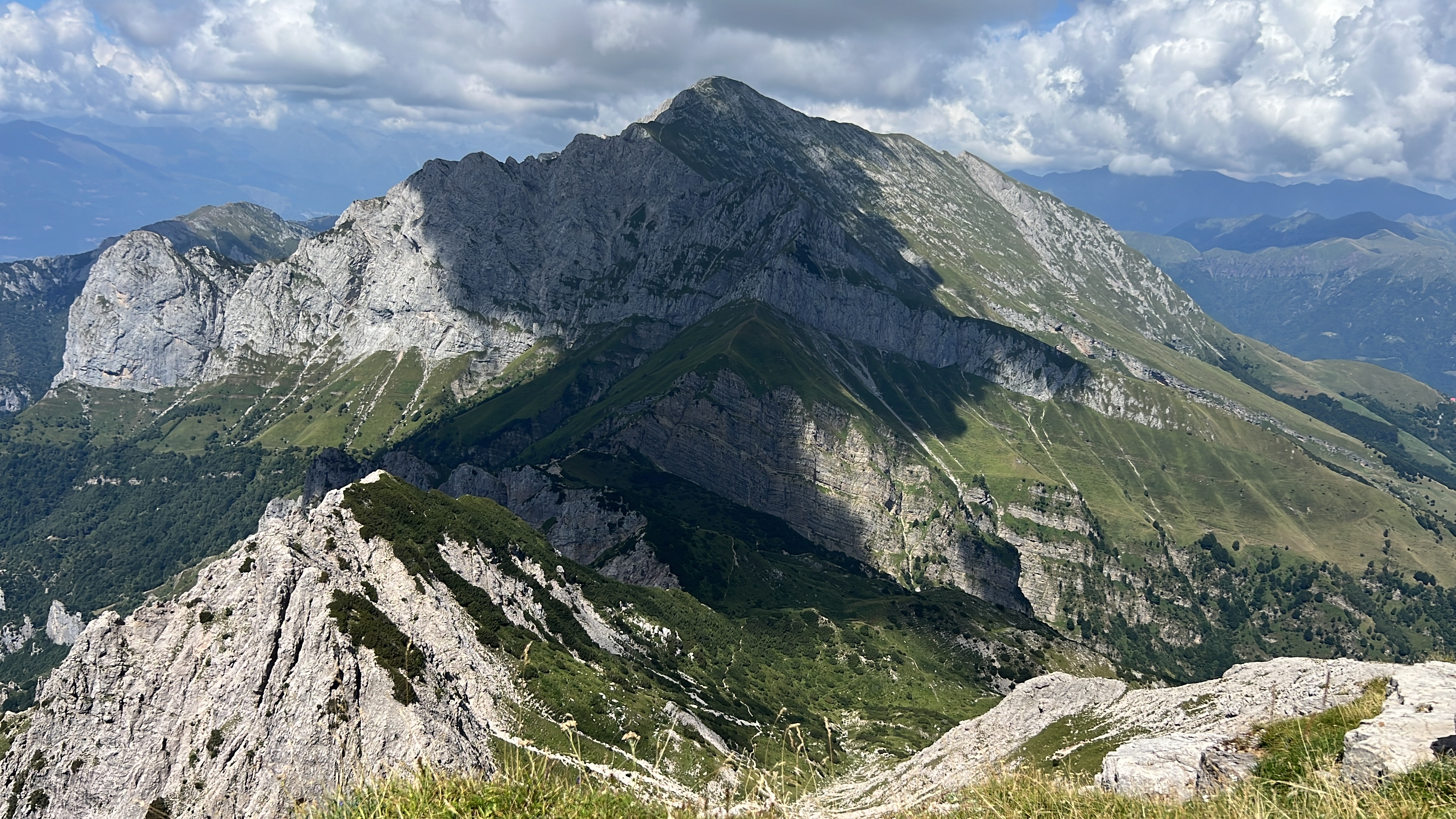 Immagine articolo